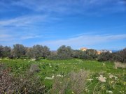 Milatos Kreta, Milatos: Baugrundstück im Zentrum in Meeresnähe zu verkaufen Grundstück kaufen